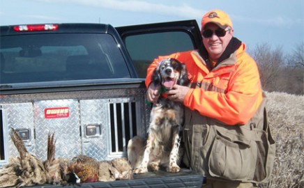 Sweet Point Setters English Setters