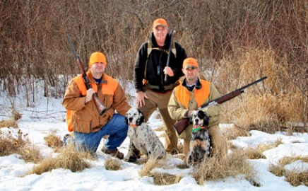 Setter Tales TV Stars